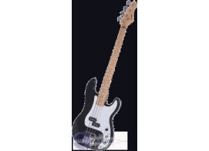Hohner HP Bass