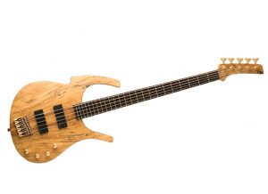 Parker Guitars PB65SP