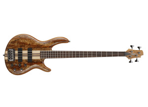 Cort Artisan A4-Custom SP
