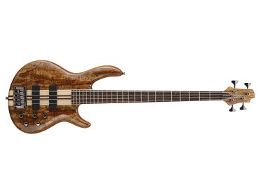 Cort Artisan A4-Custom SP
