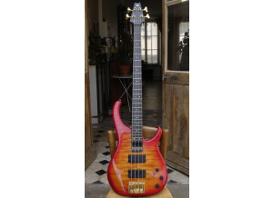 Modulus Guitars Quantum 4