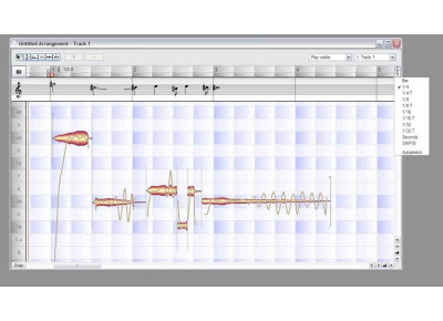 Celemony Melodyne Plug In