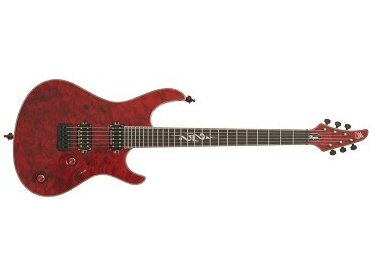 Mayones Regius 25th Anniversary