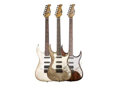 Axl Guitars AS-820