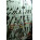 Voir la photo du MacBeth Studio Systems M5N MacBeth Studio Systems M5N
