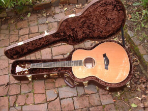 Taylor Taylor GS Rosewood Cedar Electro