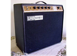 Gibson Lab series L3