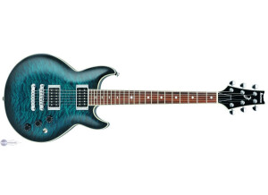 Ibanez ARX320