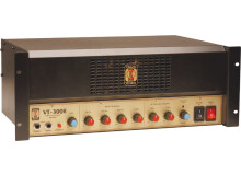 Eden Amplification VT-300B