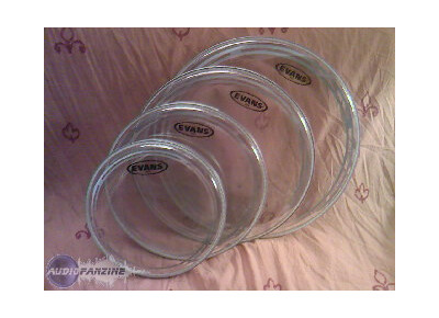 Evans EC2 edge control