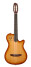Godin Multiac Series - Grand Concert Duet
