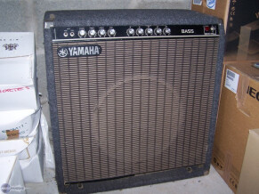 Yamaha B100-115