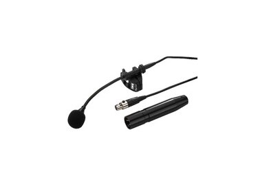 img Stage Line ECM-310W