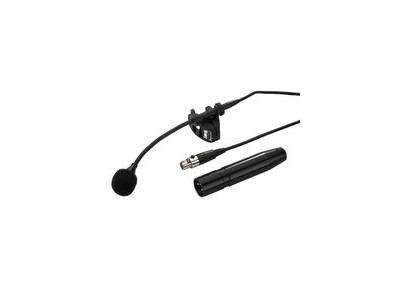 img Stage Line ECM-310W