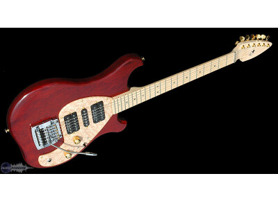 Rees Electric Guitars D3 Dive-Bomber