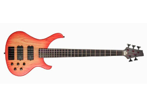 Human Base BaseX.oc5