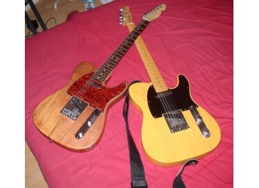 Bach Vincent telecaster