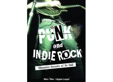 Big Fish Audio Punk & Indie Rock: Slammin Sounds of So-Cal