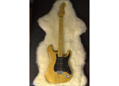 Fender "Dan Smith" Stratocaster
