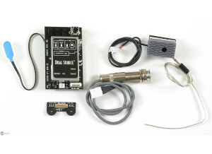 L.R. Baggs Dual source