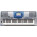 See the photo of the Yamaha PSR-1100 Yamaha PSR-1100