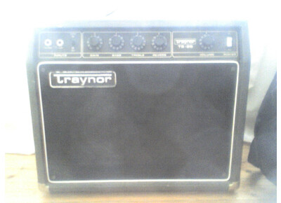Traynor TS-25