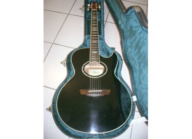 Washburn Festival EA26
