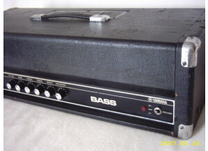 Yamaha B100 Head