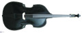 Palatino upright cutaway Billy Bass