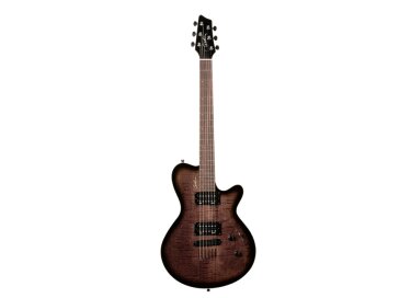 Godin LG HB