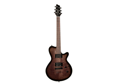 Godin LG HB