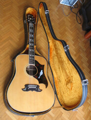 Ibanez Concord Dove 693