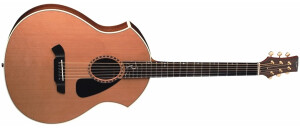 Parker Guitars PA22
