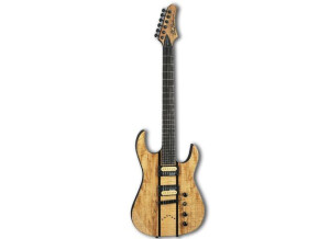 B.C. Rich Assassin Exotic Classic Deluxe ASM