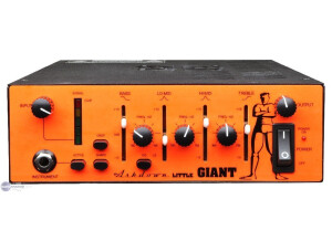 Ashdown Little Giant 1000