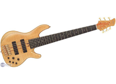 Yamaha TRB6II
