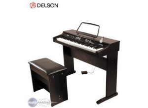 Delson NP 10