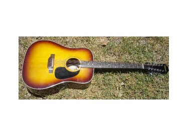 Epiphone FT-160 Texan 12-String