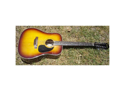 Epiphone FT-160 Texan 12-String
