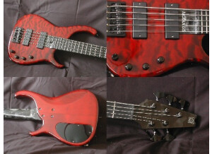 Modulus Guitars Quantum 5