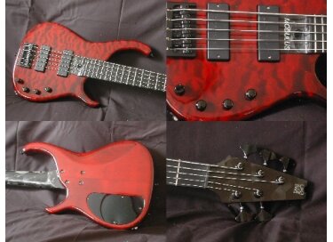 Modulus Guitars Quantum 5