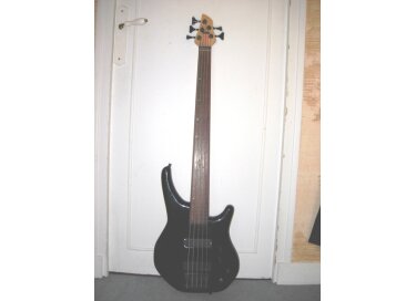 Status Graphite Energy 5 Cordes Fretless