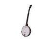 Deering Vega Little Wonder Banjo