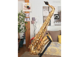 Yanagisawa A-500