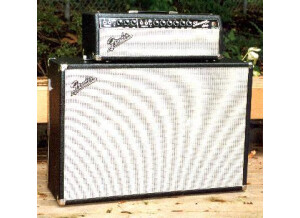 Fender Dual Showman 2x15 Cabinet