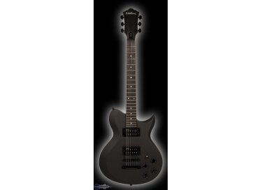 Washburn WI100