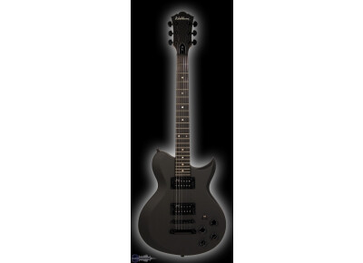 Washburn WI100