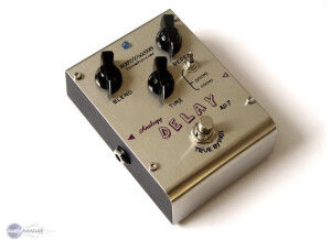 Biyang AD-7 Analog Delay