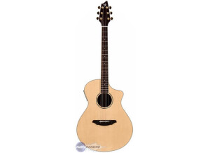 Breedlove AC 25/SM