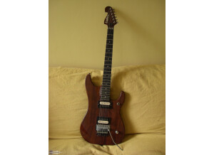 Washburn N4 Padouk ('90s)